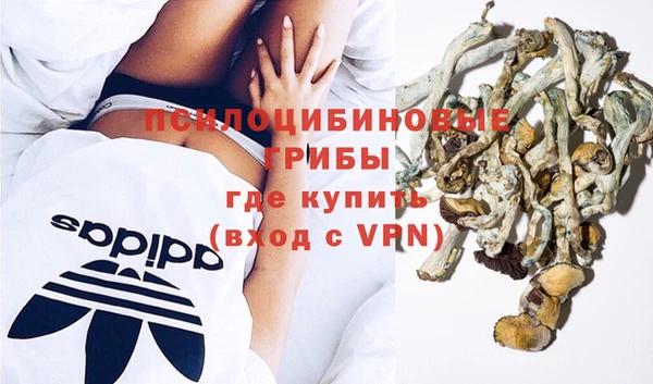 а пвп мука Белокуриха