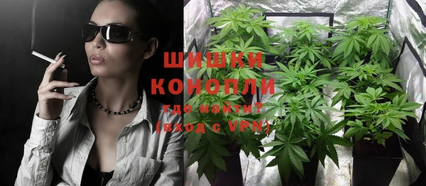 ПСИЛОЦИБИНОВЫЕ ГРИБЫ Белоозёрский