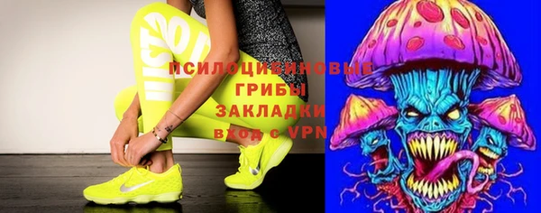 ПСИЛОЦИБИНОВЫЕ ГРИБЫ Белоозёрский