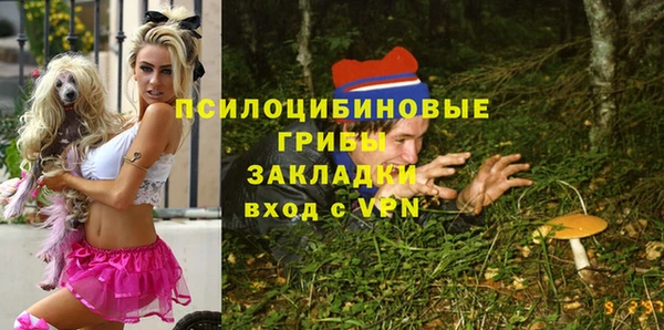 а пвп мука Белокуриха