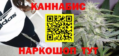 хмурый Малоярославец