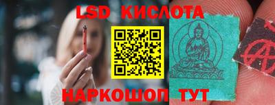 СК Волгодонск