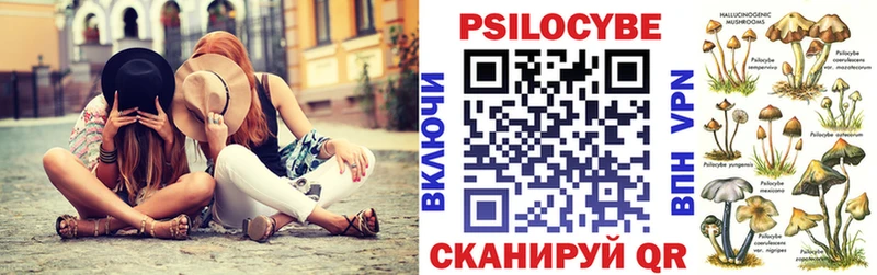 даркнет сайт Верхний Уфалей Псилоцибиновые грибы Psilocybine cubensis