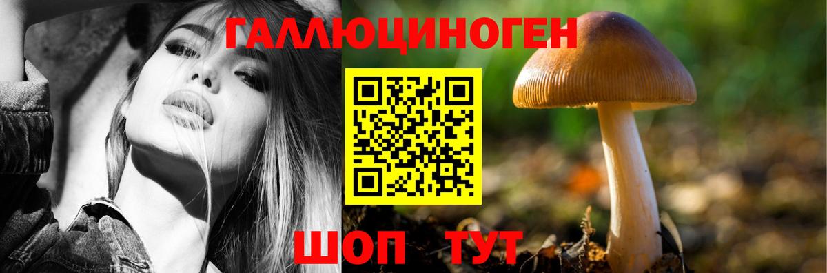 Верхний Уфалей  Галлюциногенные грибы прущие грибы  Вход с VPN 